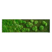 MOOSBILD Grün B: 140 cm - Weiß/Grün, Basics, Naturmaterialien/Holz (140/40/7cm)