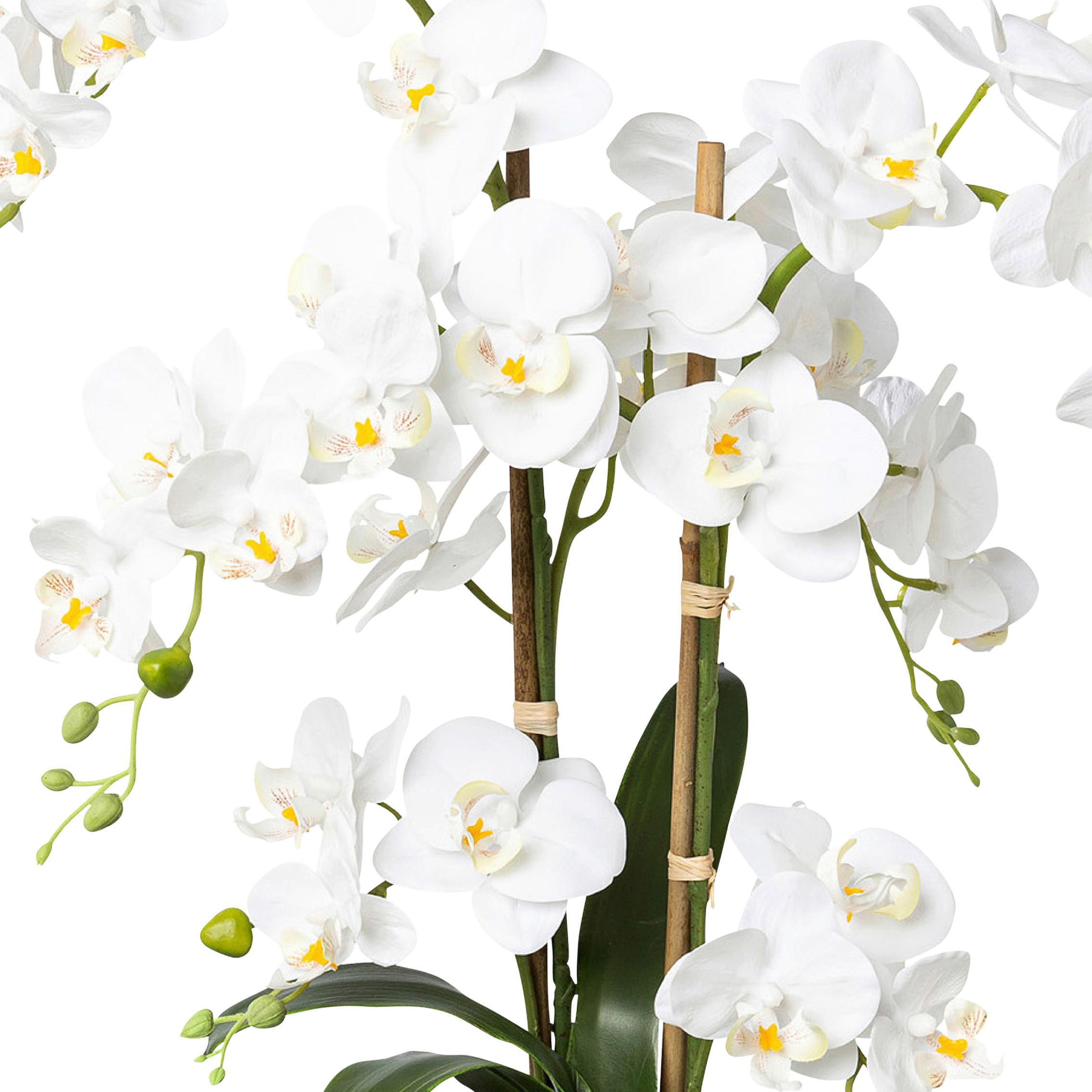 Kunstpflanze Orchideen Weiß, Topf: Weiß, H: 67 Cm - Weiß/Grün, Design, Keramik/Kunststoff (67cm) - P & B