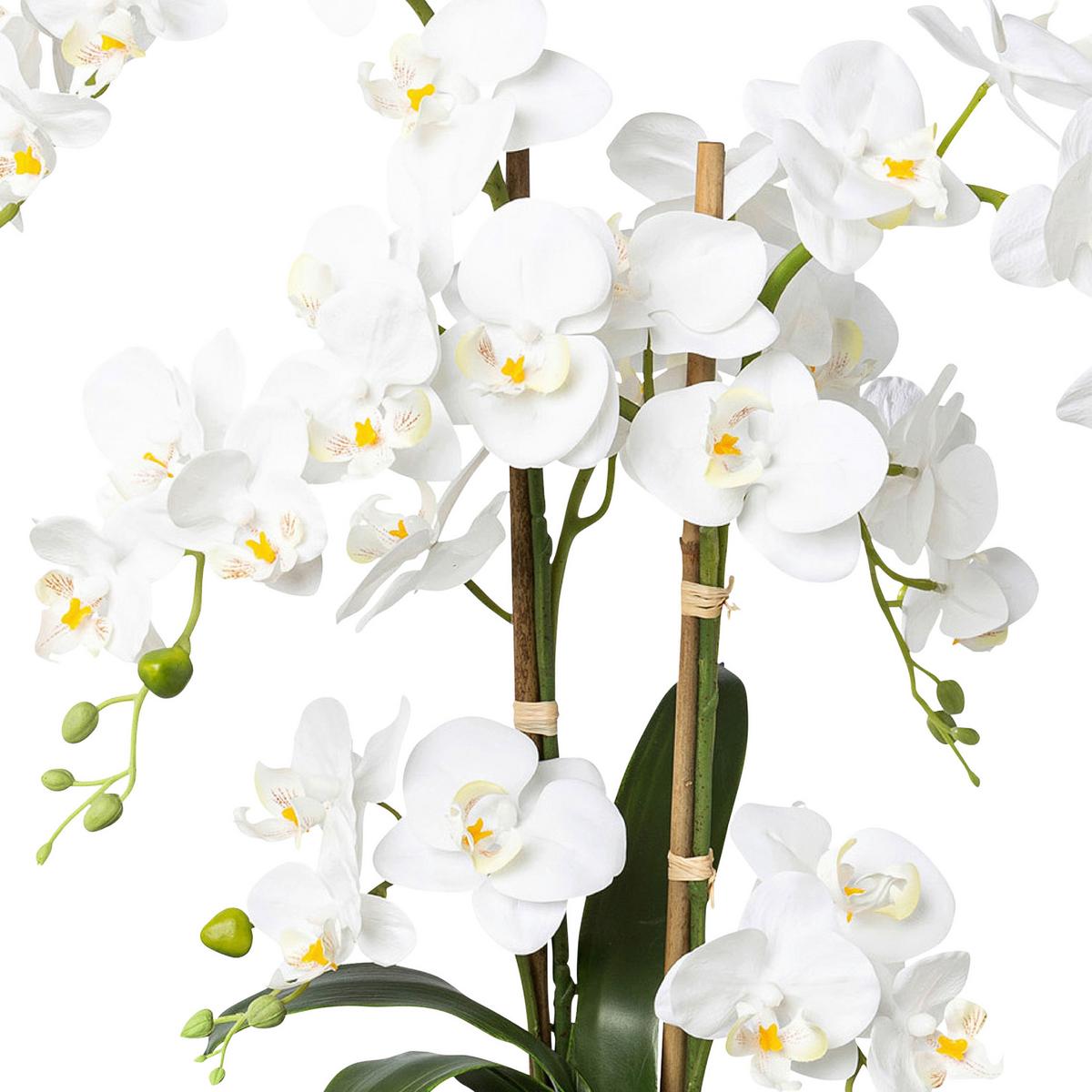 Kunstpflanze Orchideen Weiß, Topf: Weiß, H: 67 Cm - Weiß/Grün, Design, Keramik/Kunststoff (67cm) - P & B