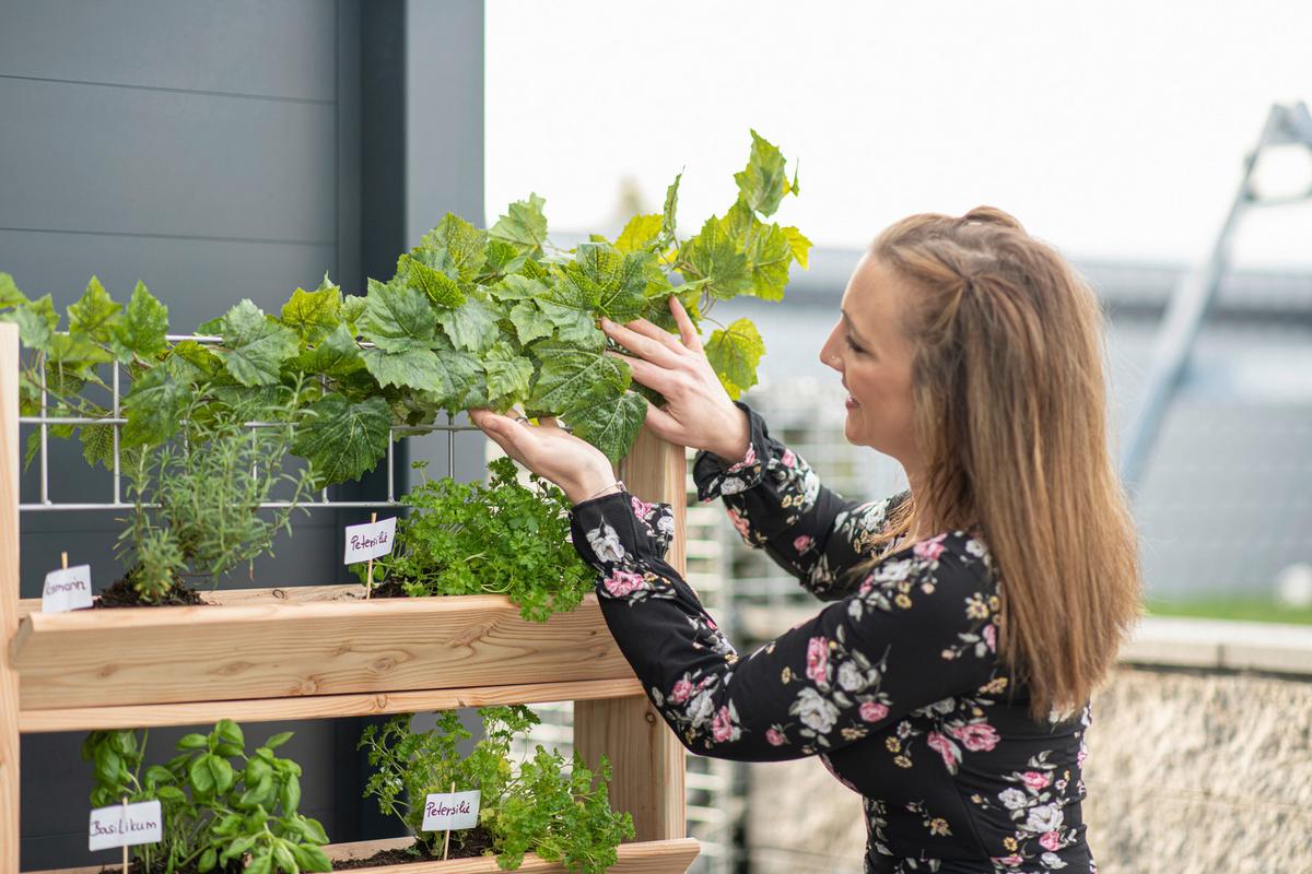 GARTENREGAL KRÄUTERREGAL L - Lärchefarben, Basics, Holz (80/95/50cm)