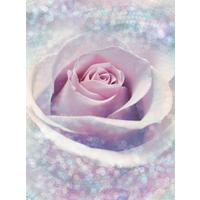 Vliestapete Rose - Hellrosa/Rosa, Natur, Papier (184/248cm)