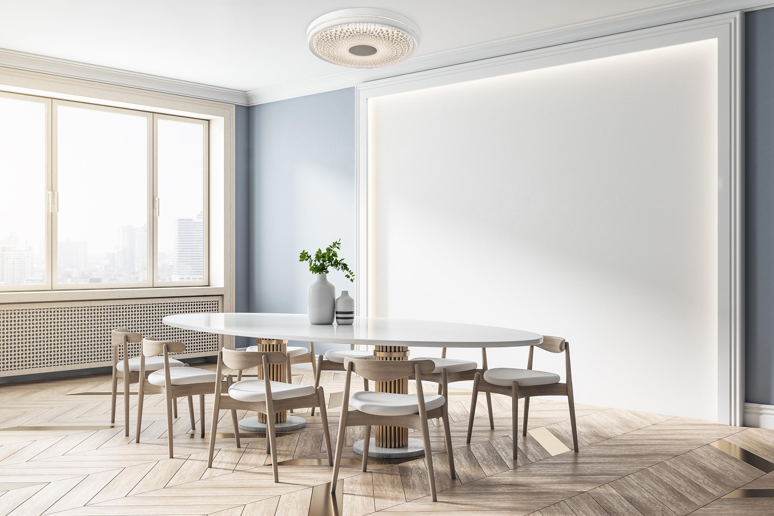 LED-Deckenleuchte Boise Ø 51 cm dimmbar mit Fernbedienung - Klar/Weiß, KONVENTIONELL, Kunststoff/Metall (51/8,5cm) - Näve
