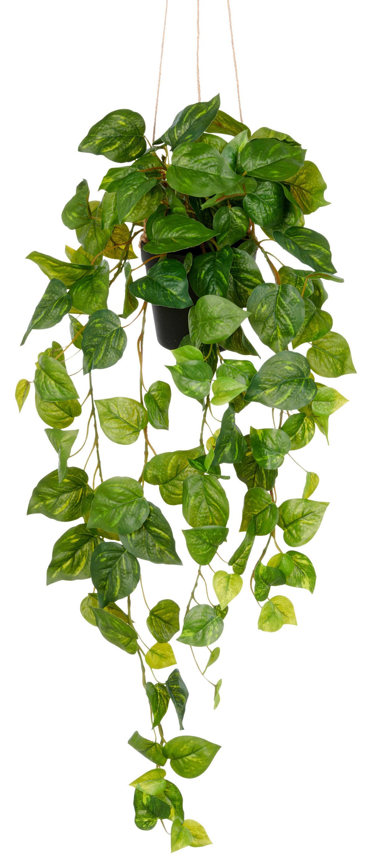 Umělá rostlina PHILODENDRONHÄNGER II - černá/zelená, Lifestyle, plast (75cm) - Mömax