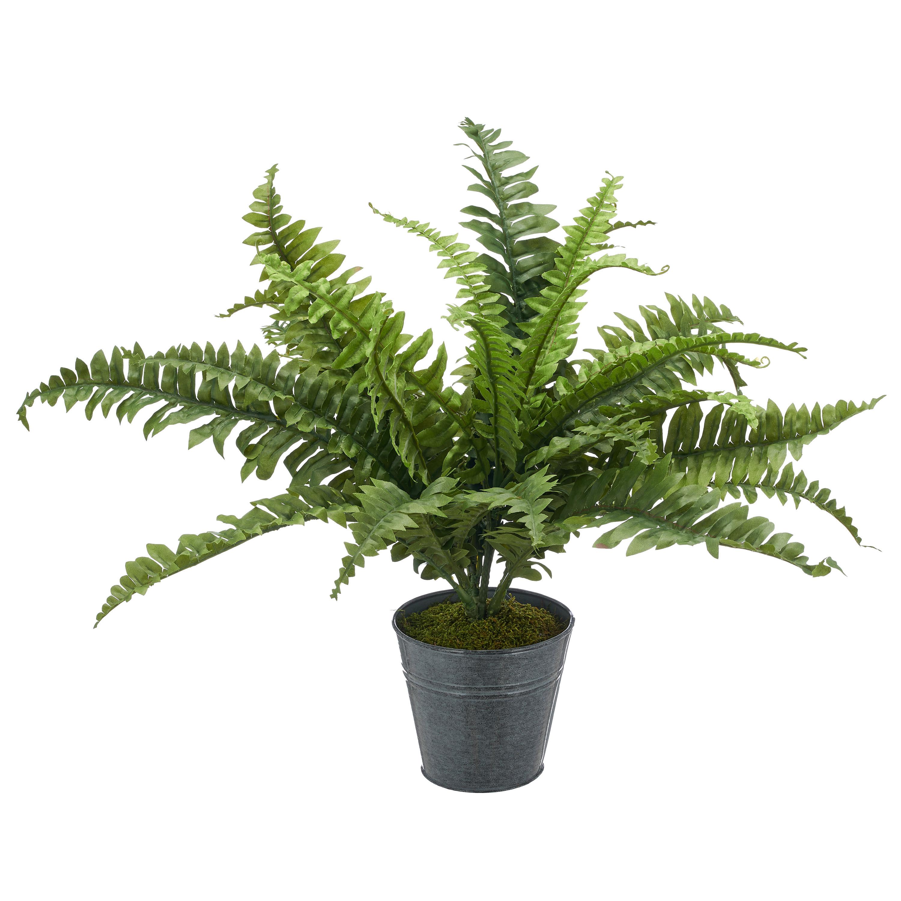 Kunstpflanze Bostonfarn Kunststoff, Grün, D: 60 cm - Zinkfarben/Grün, Basics, Kunststoff/Metall (60cm) - P & B