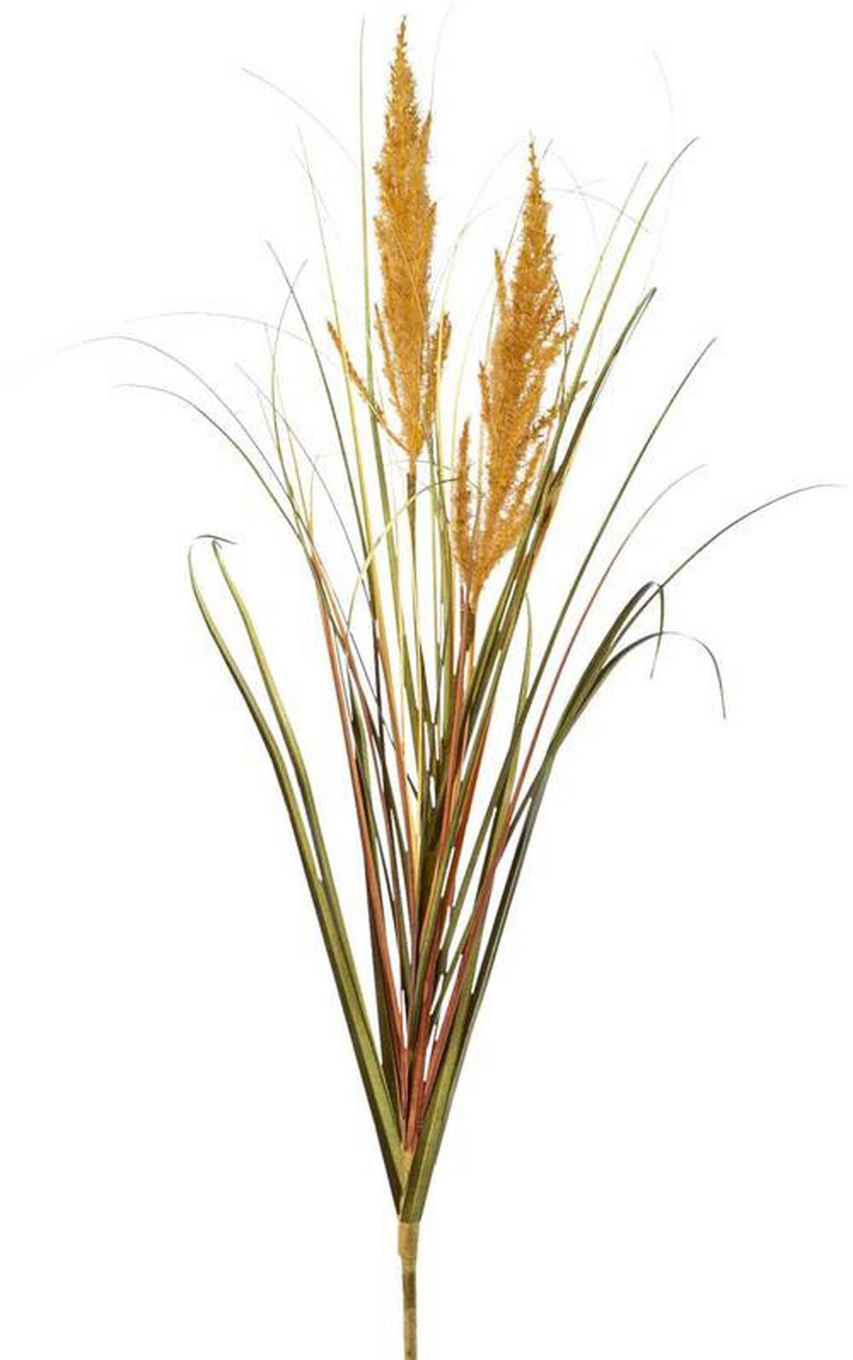 Kunstpflanze Pampasgras Braun L: 105 cm, Gerhild - Naturfarben, Basics, Kunststoff (105cm)
