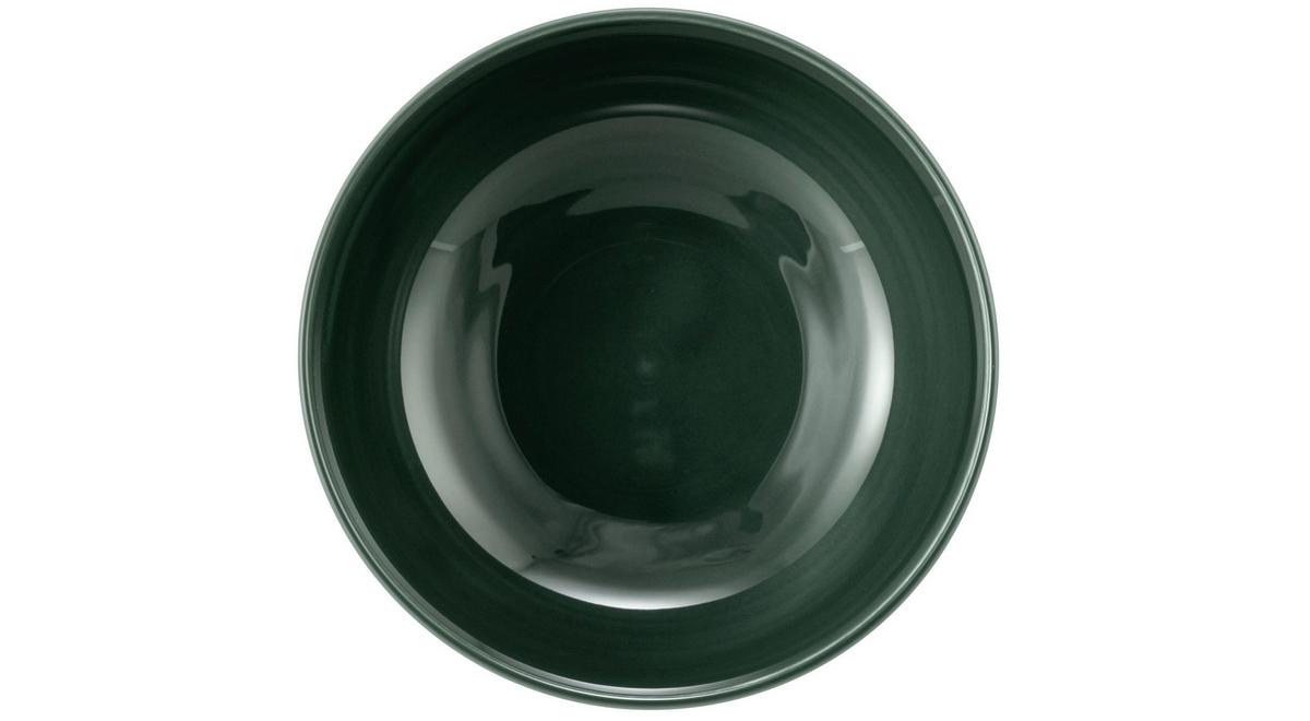 Müslischale Terra Moosgrün - Dunkelgrün, Basics, Keramik (15cm) - Seltmann Weiden