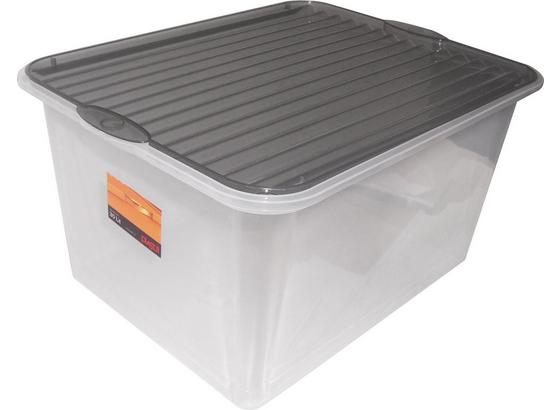 Box mit Deckel Björn ca. 40 L - Klar, KONVENTIONELL, Kunststoff (48/36/25,5cm) - Plast 1 Box mit Deckel Björn ca. 40 L - Klar, KONVENTIONELL, Kunststoff (48/36/25,5cm) - Plast 1