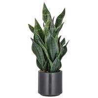 Kunstpflanze Dunkelgrün Anthrazit B: 20 cm - Dunkelgrün/Anthrazit, Basics, Kunststoff (66cm) - P & B