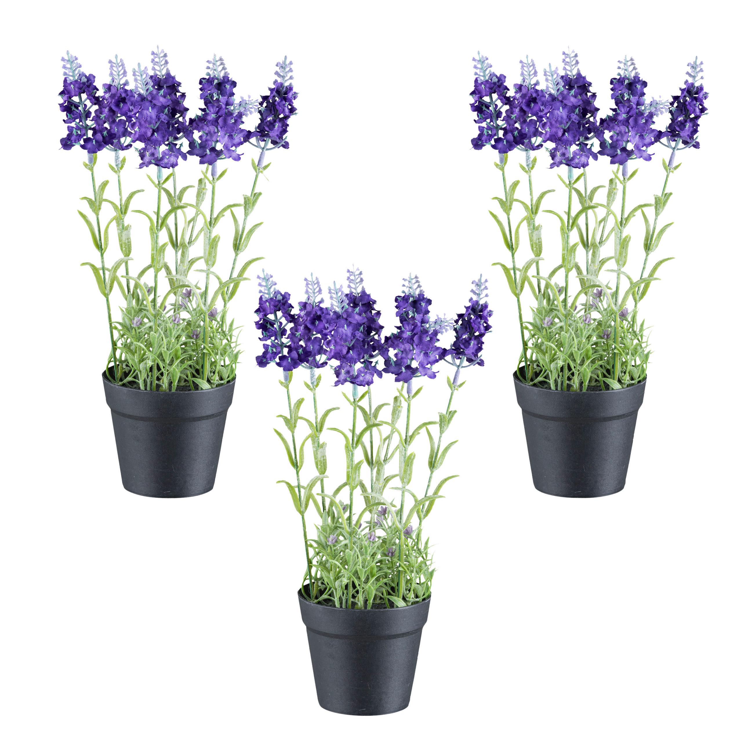 Kunstpflanze Grün/Lila/Schwarz, 29 cm - Lila/Schwarz, Design, Kunststoff (29cm) - P & B