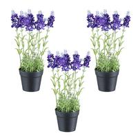 Kunstpflanze Grün/Lila/Schwarz, 29 cm - Lila/Schwarz, Design, Kunststoff (29cm) - P & B
