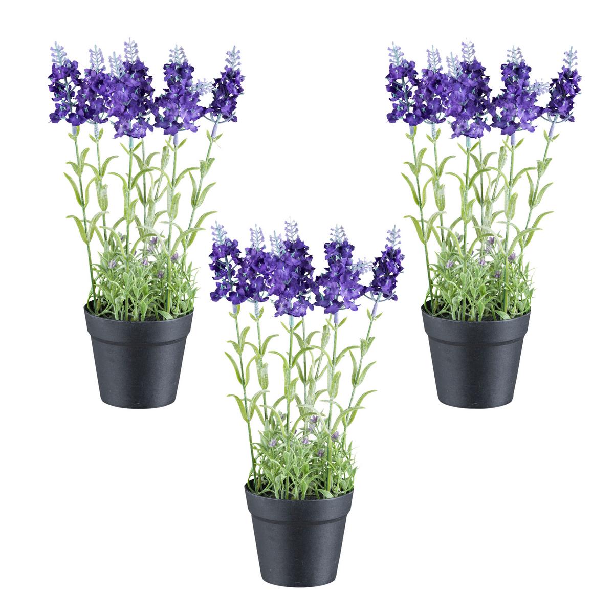 Kunstpflanze Grün/Lila/Schwarz, 29 cm - Lila/Schwarz, Design, Kunststoff (29cm) - P & B