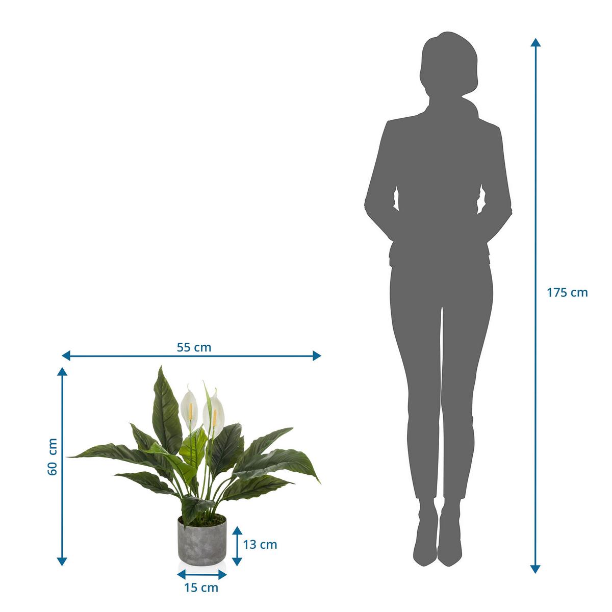 Kunstpflanze Spathiphyllum Weiß/Grün B: 55cm - Weiß/Grau, MODERN, Kunststoff (55/60/40cm) - MID.YOU