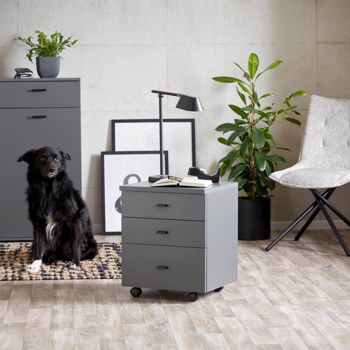 Rollcontainer Anthrazit 4 You New 2 YUK 13 43x53x40 cm - Anthrazit, MODERN, Holzwerkstoff (43/53/40cm)