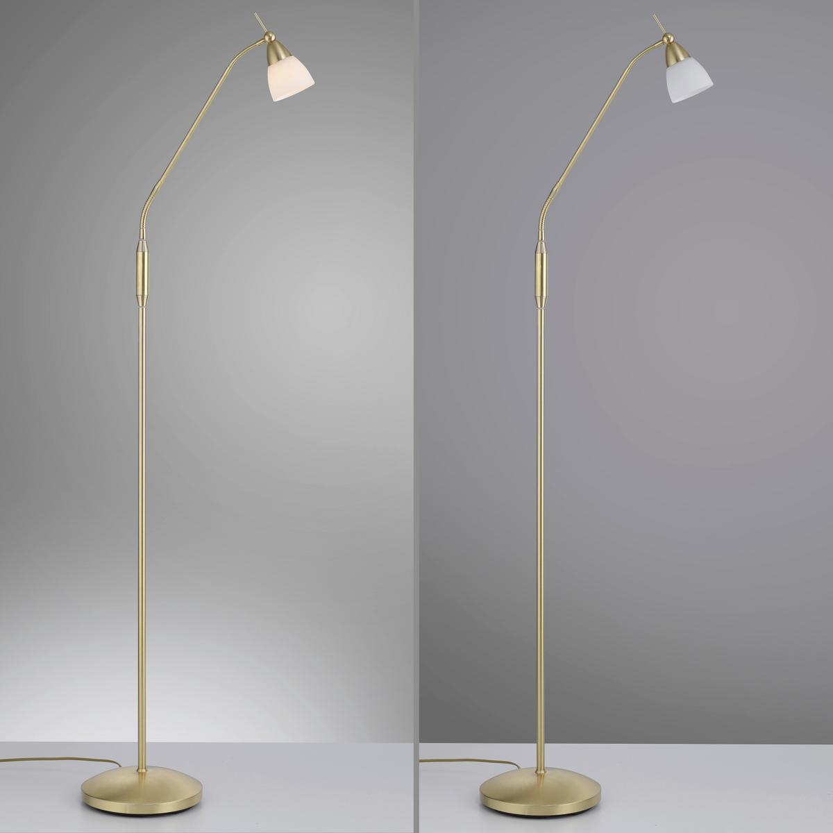 LED-Stehleuchte 400-60 Pino - Messingfarben, Basics, Glas/Metall (74/74/163cm) - Paul Neuhaus