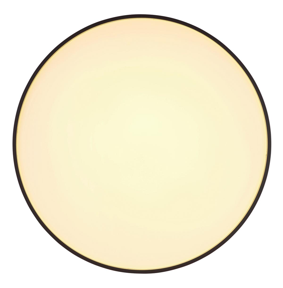 Led Mennyezeti Lámpa Luka - opál/antracit, Modern, műanyag/fém (48cm) - Luca Bessoni