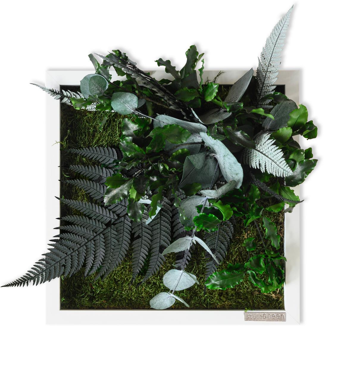 Moosbild Moos Grün B: 22 cm - Weiß/Grün, Basics, Naturmaterialien/Holz (22/22/15-17cm)