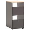 Mehrzweckschrank Anthrazit/eichefarben B:45,1cm - Eichefarben/Anthrazit, MODERN, Holzwerkstoff (45,1/95,8/60cm) - MID.YOU