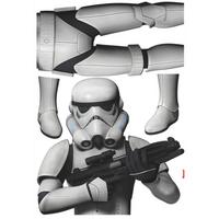 DEKOSTICKER Star Wars - Schwarz/Weiß, LIFESTYLE, Kunststoff (100/70cm)