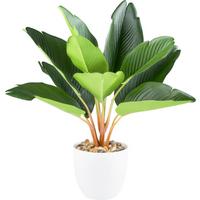 Kunstpflanze Strelitzie H: 36 cm - Weiß/Braun, Design, Kunststoff (36cm) - P & B