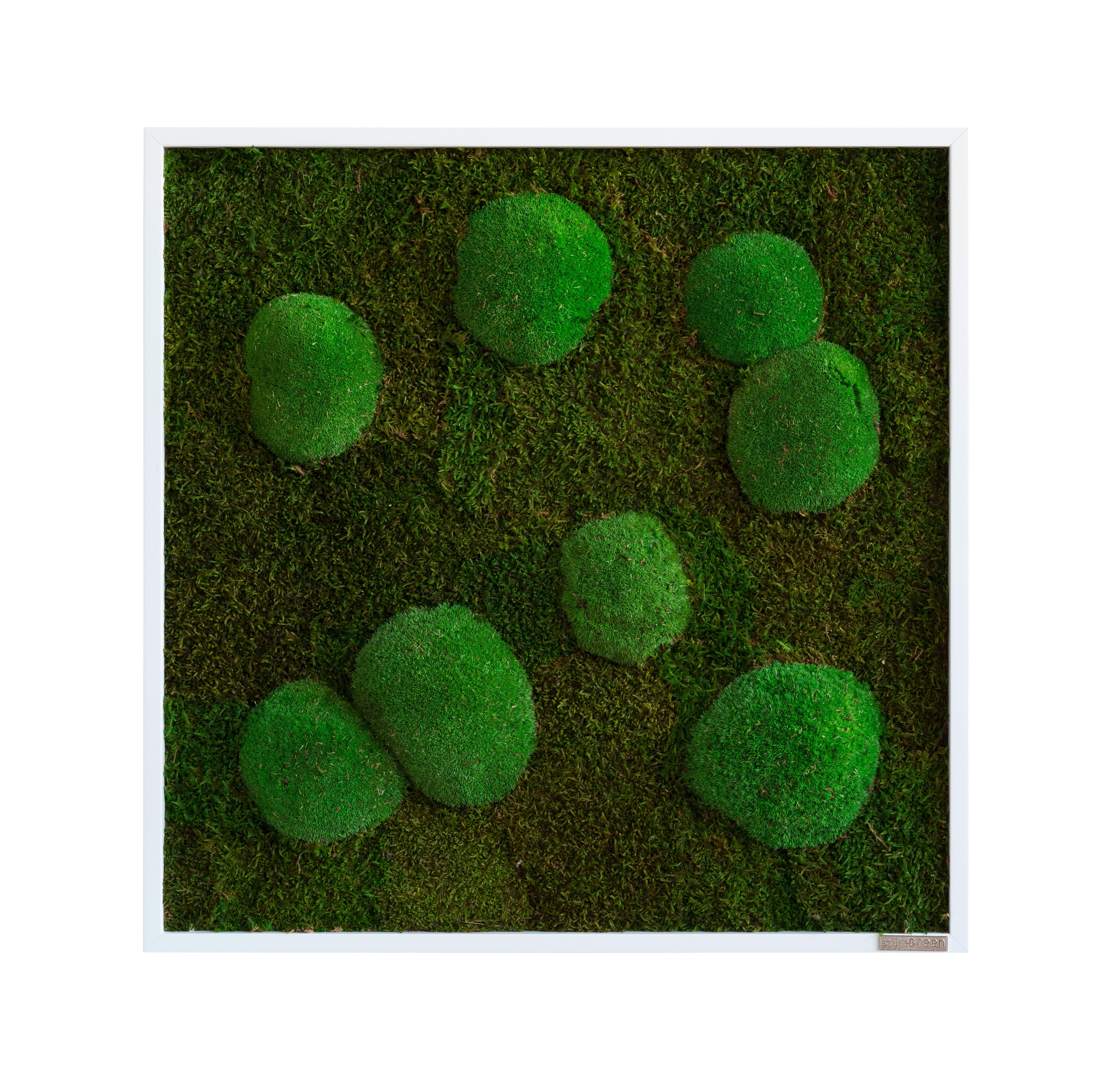 Machový obraz, rastliny - biela/zelená, Basics, drevo/prírodné materiály (55/55/7cm)
