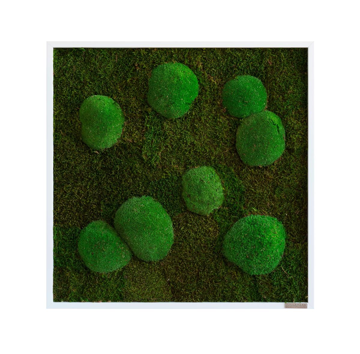 Machový obraz, rastliny - biela/zelená, Basics, drevo/prírodné materiály (55/55/7cm)