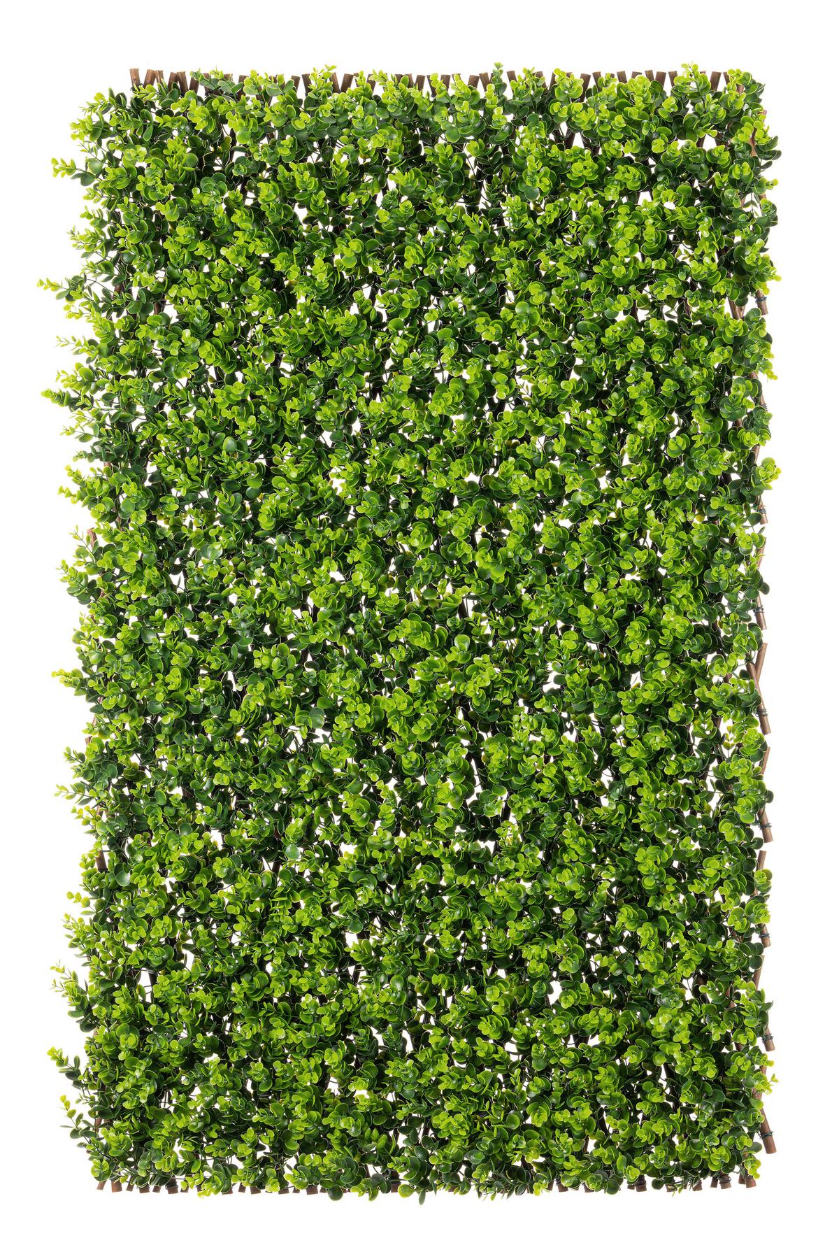 Sichtschutzhecke Devin - Dunkelgrün/Naturfarben, KONVENTIONELL, Holz/Kunststoff (200/100cm) - Luca Bessoni