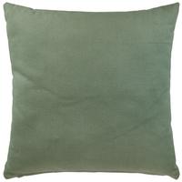 DEKORAČNÝ VANKÚŠ Chris, 50/50cm, zelená - zelená, Modern, textil (50/50cm) - Premium Living