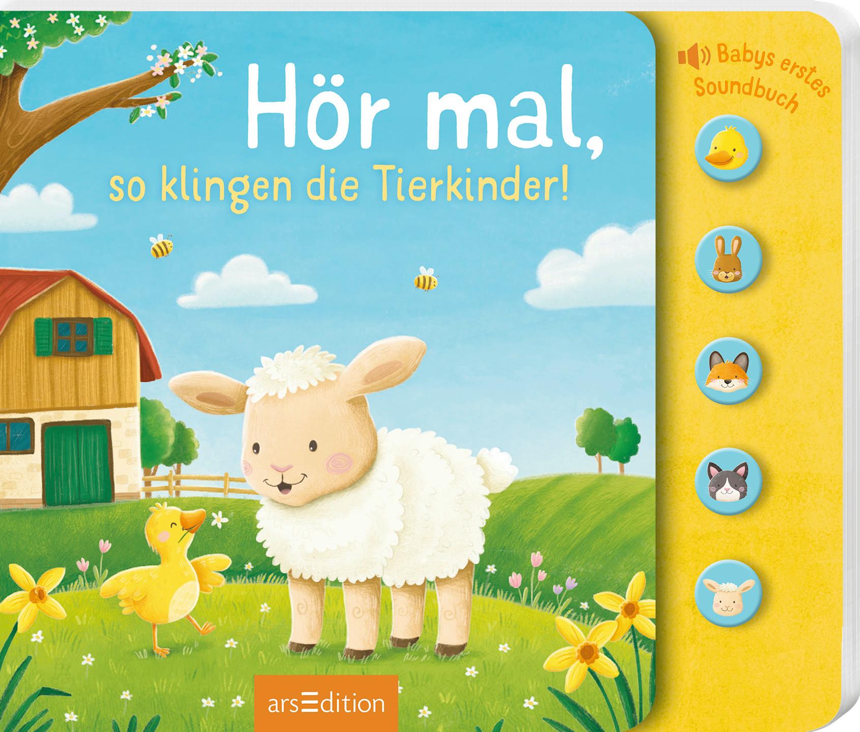 SOUNDBUCH HÖR MAL - Basics (20,5/17,5/1,7cm)