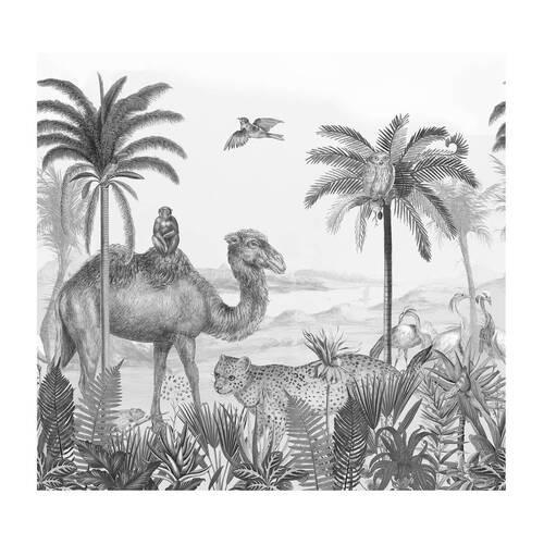 Fototapete Safari - Schwarz/Weiß, Trend, Papier/Kunststoff (300/280cm)