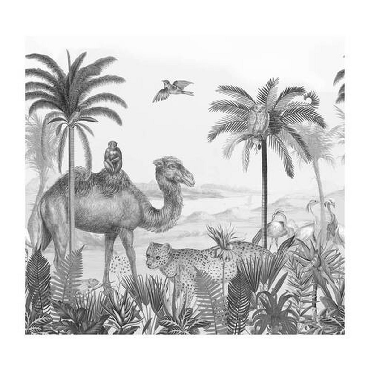 Fototapete Safari - Schwarz/Weiß, Trend, Papier/Kunststoff (300/280cm)