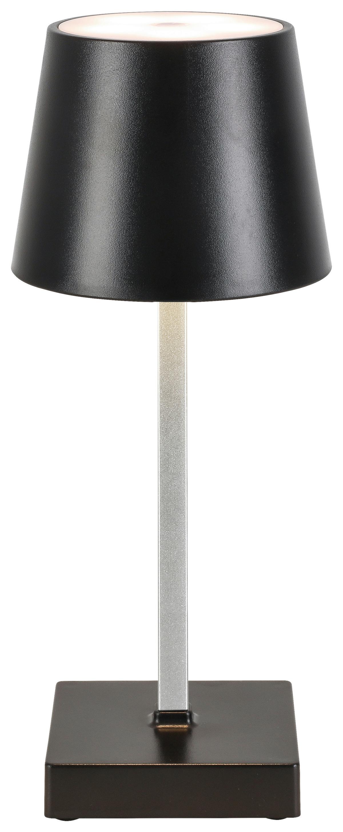 DEKORAČNÍ LED SVÍTIDLO GOPI - černá/barvy stříbra, Romantický / Rustikální, kov/plast (10,5/26cm) - Modern Living