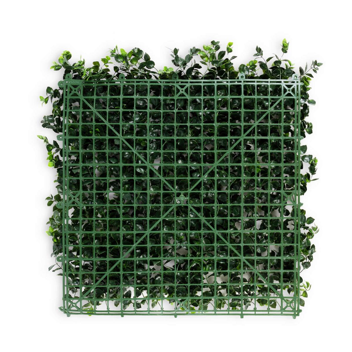 WANDVERKLEIDUNG KUNSTPFLANZE - Mintgrün, Trend, Kunststoff (50/50cm) - Floordirekt