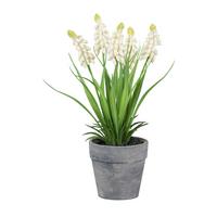 Umelá rastlina MUSCARI I - sivá/biela, Basics, plast (25cm) - Modern Living