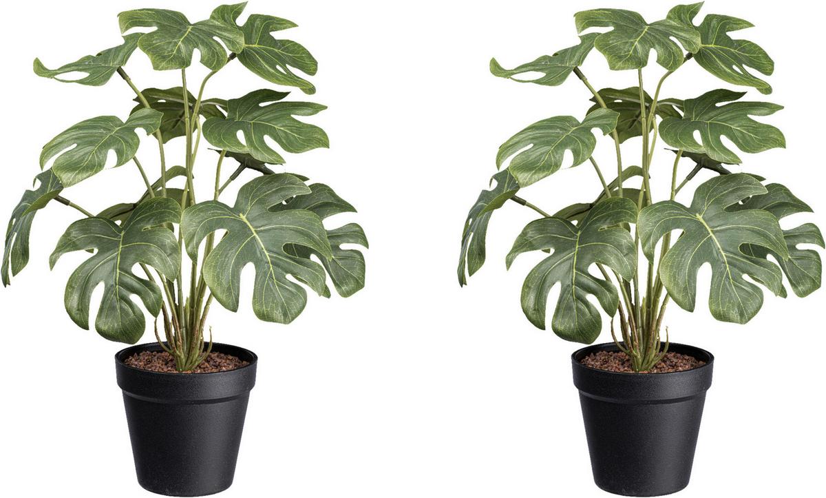 Kunstpflanze Philodendron H: 38 cm - Schwarz/Weiß, Design, Kunststoff (38cm) - P & B