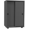 Aktenschrank Ulas Anthrazit Dekor B: 49 Cm - Anthrazit, Design, Holzwerkstoff (49/74/38cm) - MID.YOU