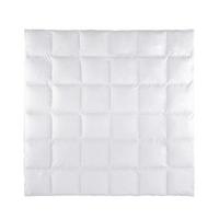 Páperová prikrývka Mili XXL, 200/220cm - biela, Konventionell, textil (200/220cm) - Premium Living