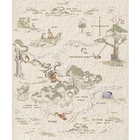 Fototapete Winnie The Pooh Map - Schwarz/Braun, Trend, Textil (200/240cm)