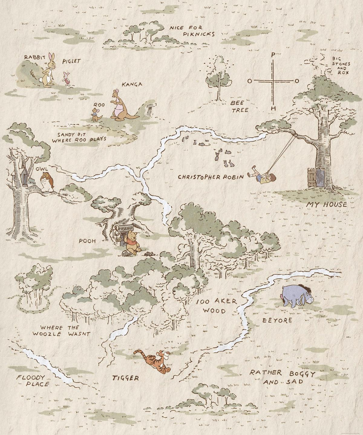 Fototapete Winnie The Pooh Map - Schwarz/Braun, Trend, Textil (200/240cm)