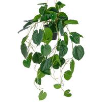Peperomia Caperata Kunststoff, Grün, H: 70 cm - Schwarz/Grün, Basics, Kunststoff (70cm) - P & B