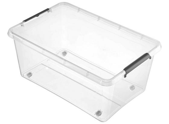 Box mit Deckel Lars 40 Liter - Transparent, Basics, Kunststoff (58/39/25cm) Box mit Deckel Lars 40 Liter - Transparent, Basics, Kunststoff (58/39/25cm)