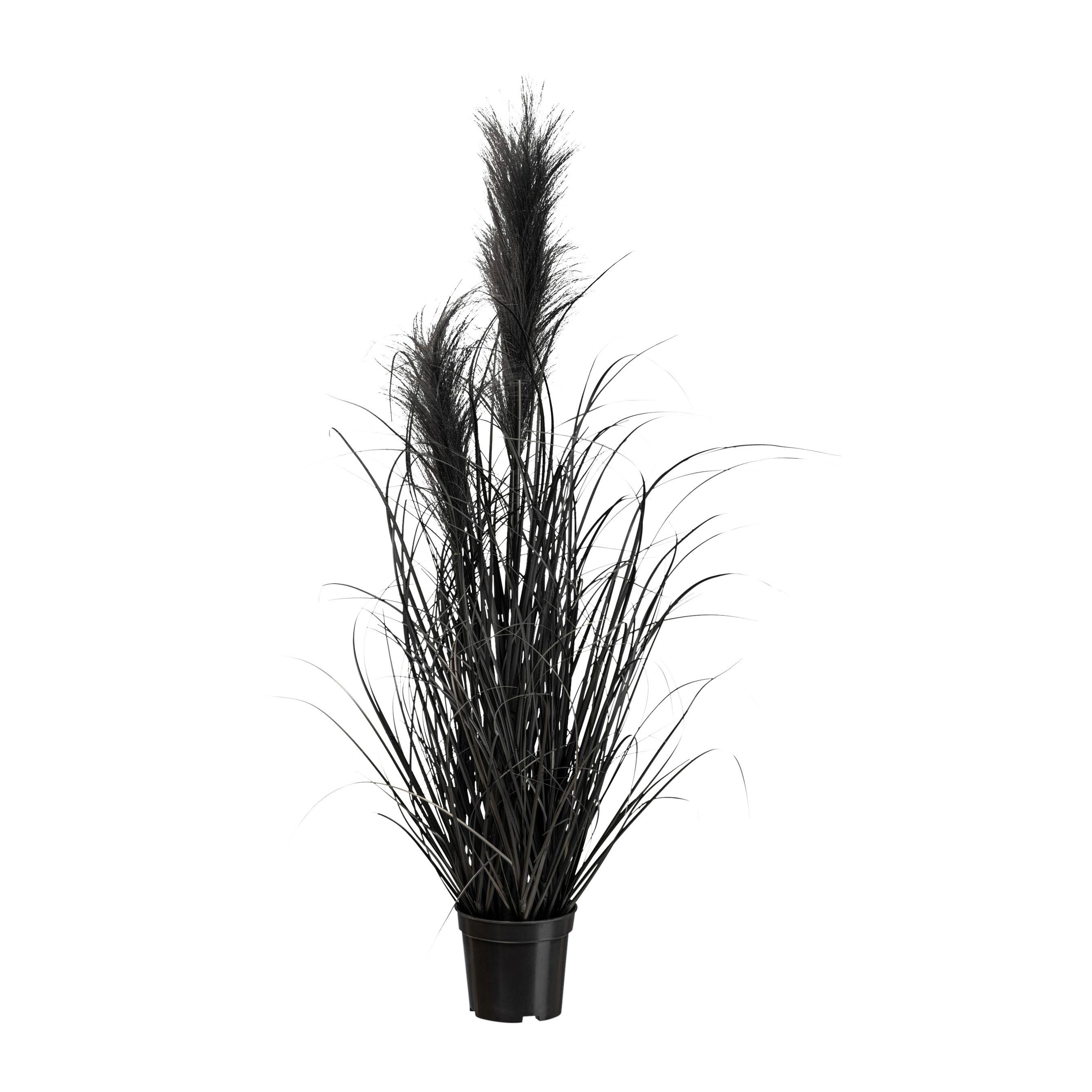UMĚLÁ ROSTLINA PAMPASGRAS II - černá, Moderní, plast (73cm) - Modern Living