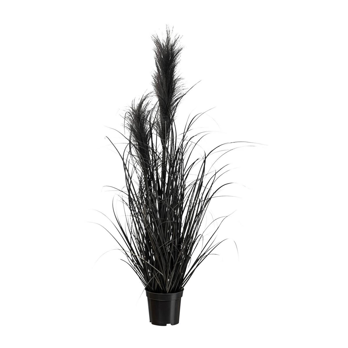 UMĚLÁ ROSTLINA PAMPASGRAS II - černá, Moderní, plast (73cm) - Modern Living