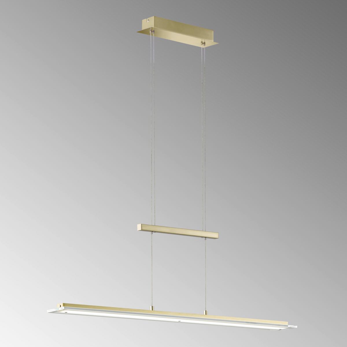 Led-hängeleuchte Tenso H: 80-150 Cm 1-Flamming Dimmbar - Messingfarben, Design, Metall (100,00/9,00/80-150cm) - Fischer & Honsel