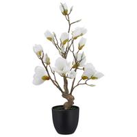 Umelá magnólia Výška 65 cm - hnedá/čierna, Basics, kov/textil (65cm) - Mömax