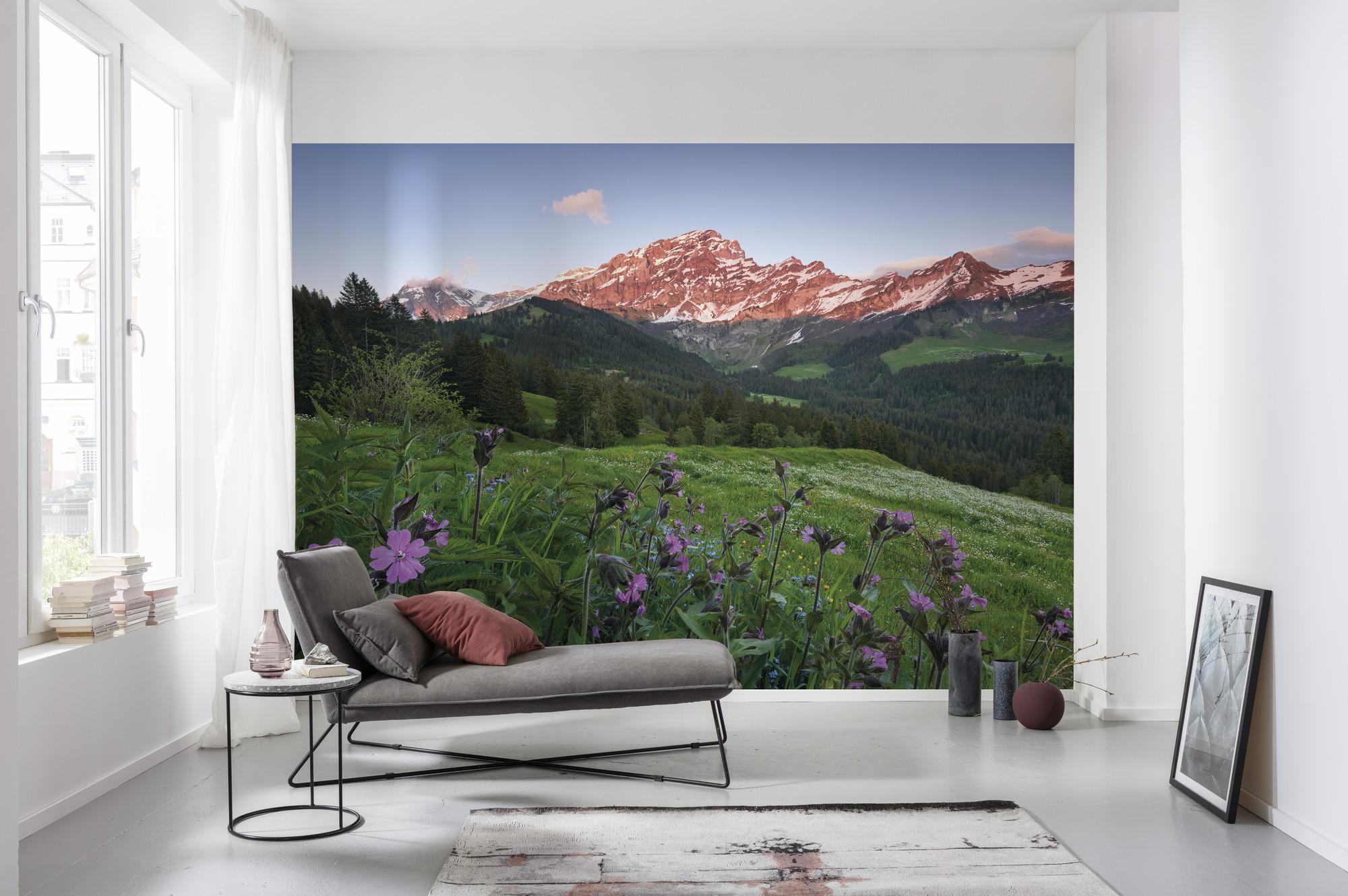 Fototapete Picturesque Switzerland - Multicolor, Trend, Textil (450/280cm)