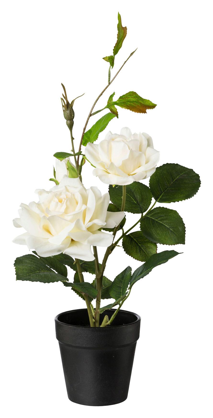 Kunstblume Rosenbusch Creme L: 40cm, Ella - Creme/Grün, ROMANTIK / LANDHAUS, Kunststoff (40cm)