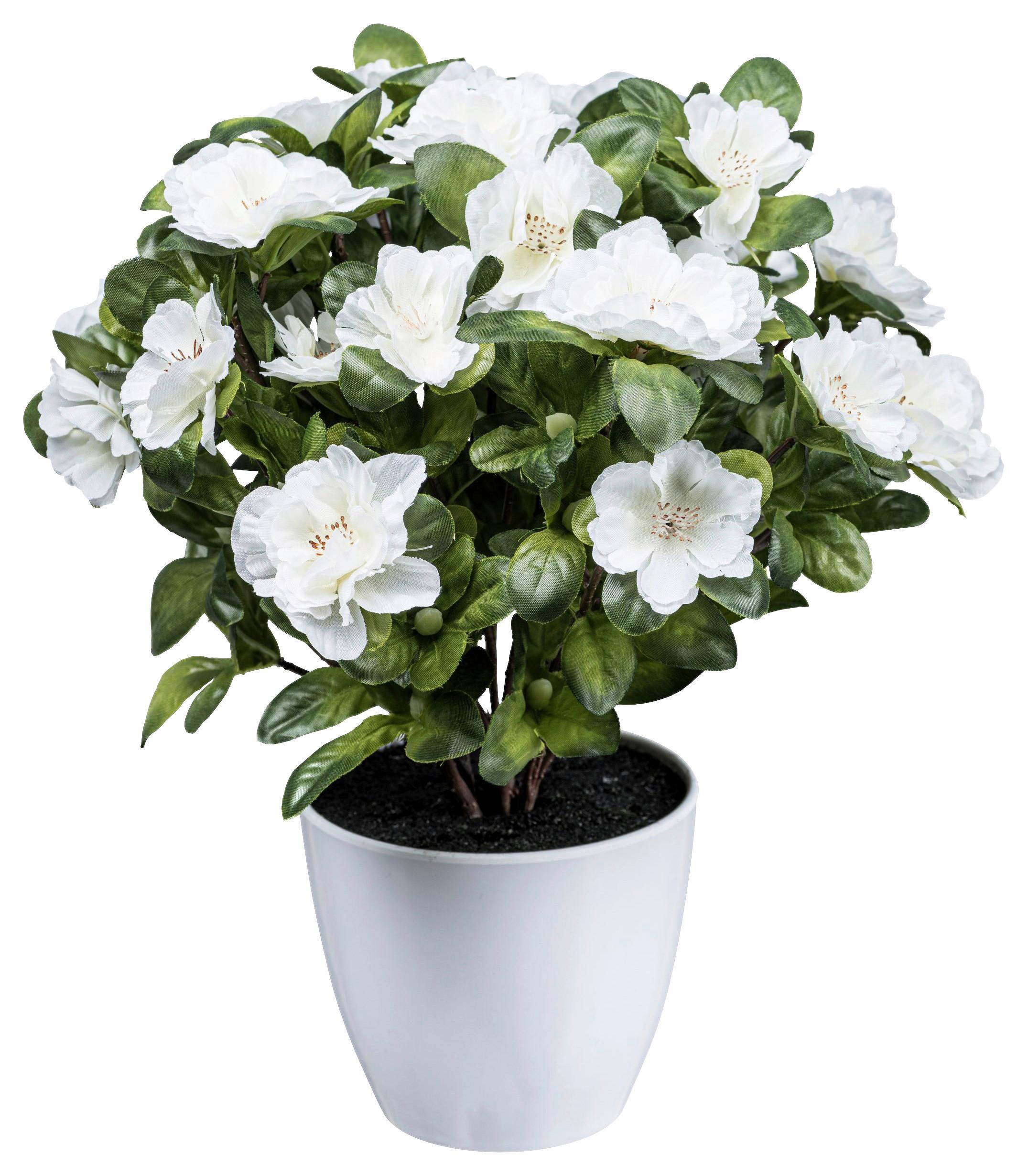 Kunstpflanze Blühpflanzen Weiß/Grün, 32 cm - Weiß/Grün, Design, Kunststoff (32cm) - P & B