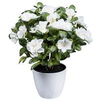 Kunstpflanze Blühpflanzen Weiß/Grün, 32 cm - Weiß/Grün, Design, Kunststoff (32cm) - P & B