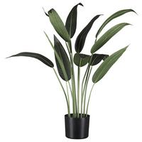 UMĚLÁ ROSTLINA WASSERCANNA I - černá/zelená, Basics, plast (90cm) - Modern Living