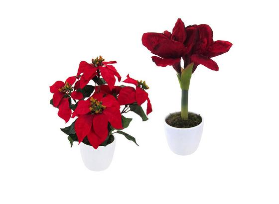 Umelá Rastlina 111004ce-00 Weihnachtstern - Basics (40cm) Umelá Rastlina 111004ce-00 Weihnachtstern - Basics (40cm)